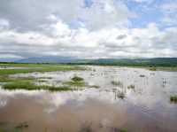 Spring Trip to Tanzania: Exploring Lake Manyara National Park
