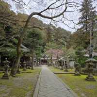 Minoo Park – "A Hidden Cherry Blossom Trail Near Osaka"