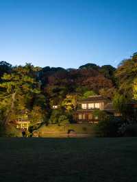 三溪園のライトアップ ✨🌙 幻想的な和の夜景を楽しむ
