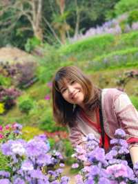 Chiang Mai 4 Days 2 Nights: Doi Suthep – Doi Pui – Doi Inthanon🇹🇭