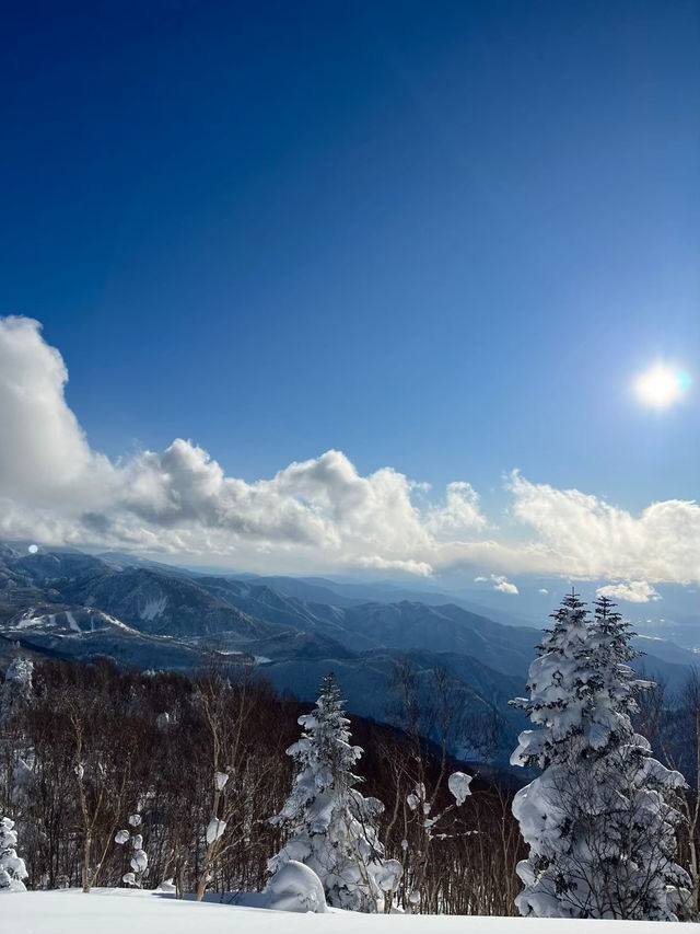 【日本屈指の広大なゲレンデ！「志賀高原スキー場」で極上のパウダースノーを満喫🏂⛷️❄️】