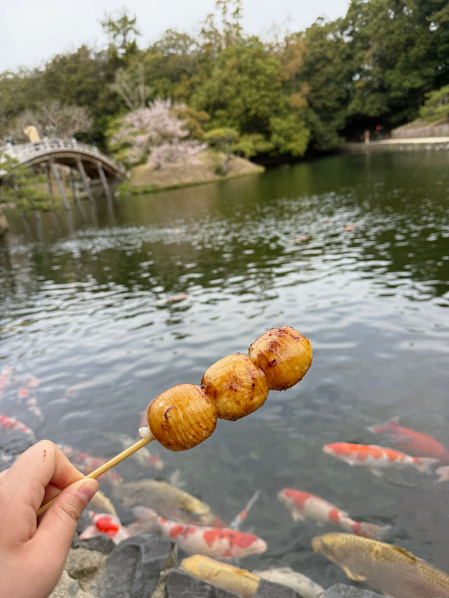 일본 산책여행은 여기로 가세요!!