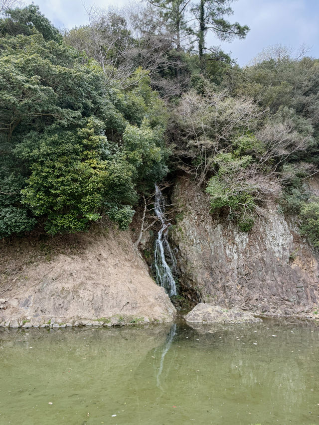 일본여행에서 자연을 느껴보세요!!