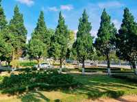 越南大叻市中心著名城市綠洲公園景點：Công Viên Trần Hưng Đạo，適合打卡拍照📸親子遊