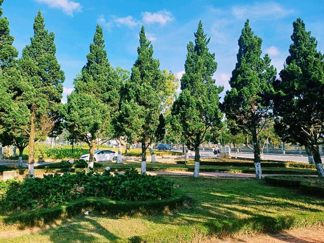 越南大叻市中心著名城市綠洲公園景點：Công Viên Trần Hưng Đạo，適合打卡拍照📸親子遊