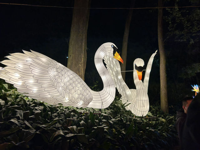 Guangzhou Lantern Festival CN tower tulip garden and 3D ad