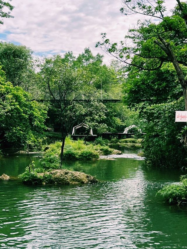 緬甸曼德勒著名旅遊景點：眉謬植物園，National Kandawgyi Garden，親近大自然，適合打卡拍照📸