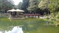 Peaceful Escapes in the Mountains of Alishan, Taiwan