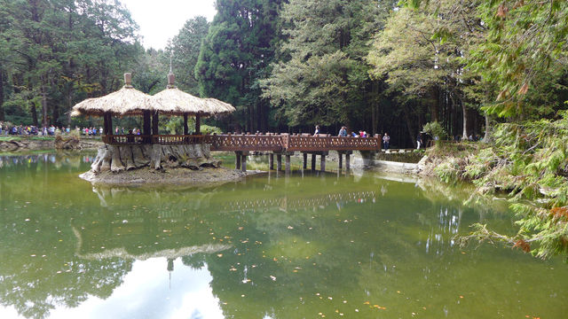Peaceful Escapes in the Mountains of Alishan, Taiwan