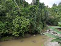 A Soulful Retreat into Nature at Maya Ubud
