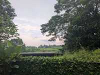 A Soulful Retreat into Nature at Maya Ubud