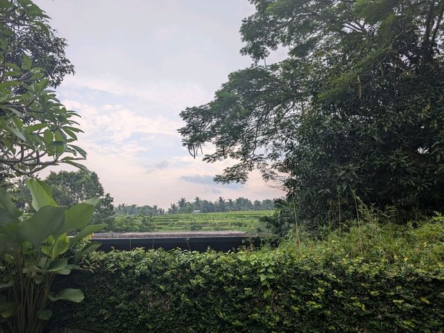 A Soulful Retreat into Nature at Maya Ubud