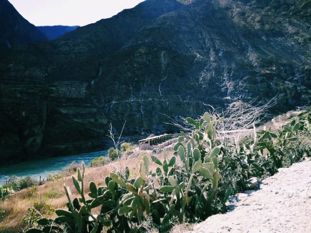 中國西藏著名旅遊城市林芝旅行攻略，適合打卡拍照📸