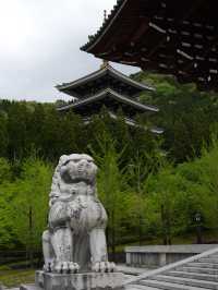 【福井×越前大仏】日本一の五重塔
