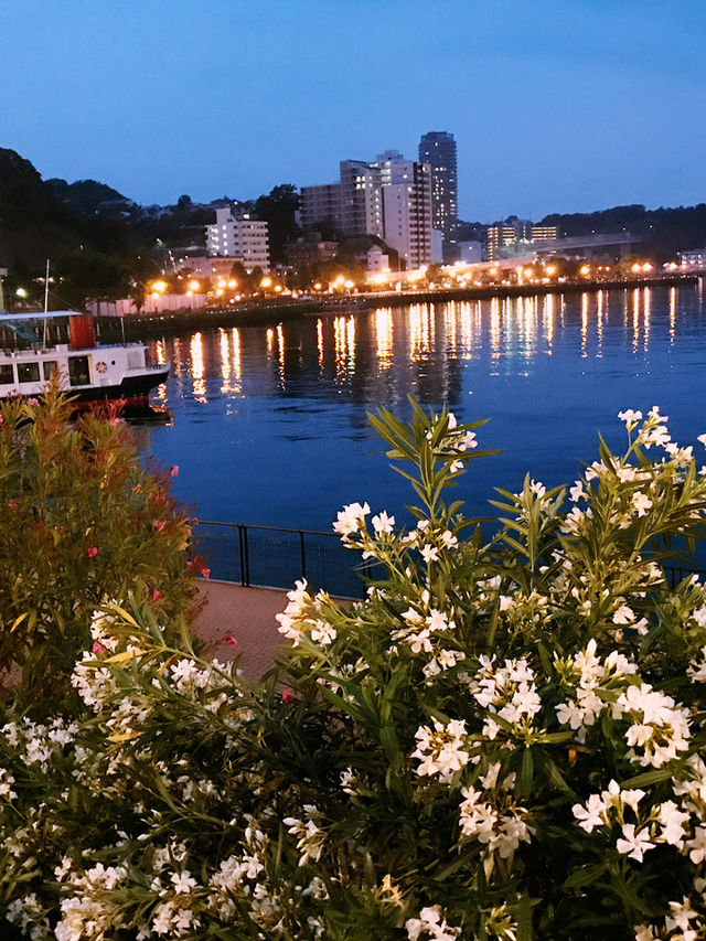 【バラ🌹が満開のヴェルニー公園から横須賀芸術劇場での意義ある滞在】