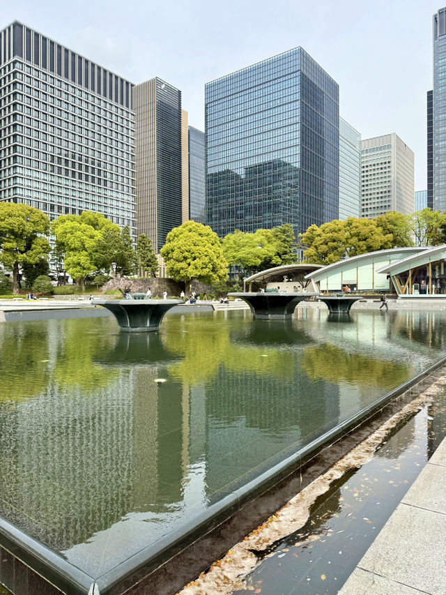 Spring Serenity at Wadakura Fountain Park🦢