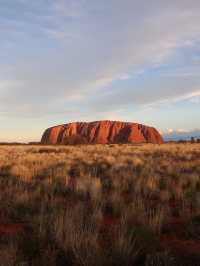 Desert in Bloom: Uluru in April is Pure Magic