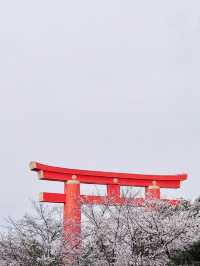 儚くも美しい京都へ