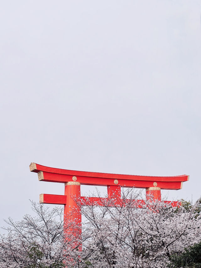 儚くも美しい京都へ