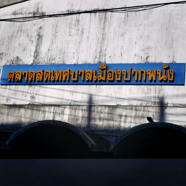 ตลาดเช้าปากพนัง