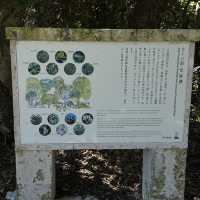 【石垣島】星の砂で有名！カイジ浜