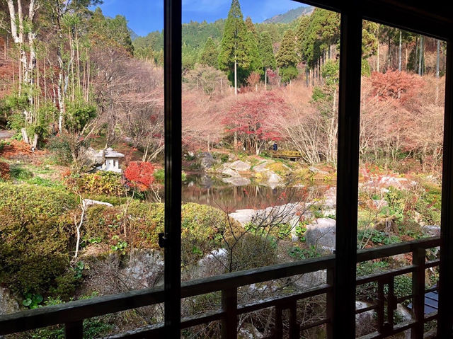色づく自然アート！秋の芸術の森へ