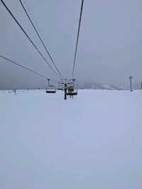 Tsugaike: Powder Playground in the Japanese Alps