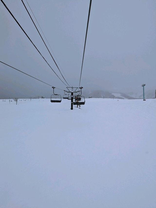 Tsugaike: Powder Playground in the Japanese Alps