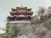 เที่ยว วัดกุยซาน แชงกรีล่า 🇨🇳