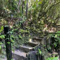 Taman Tugu Forest Trail 