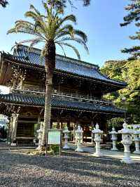 【千葉】続く参道に並ぶ灯篭 が美しい景観