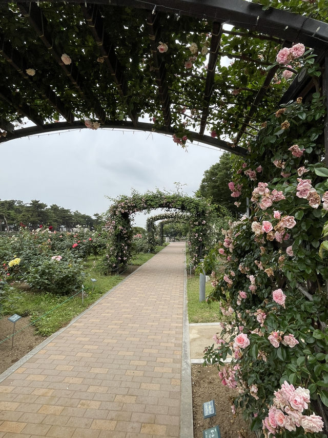 【群馬】600種7000株の薔薇の楽園