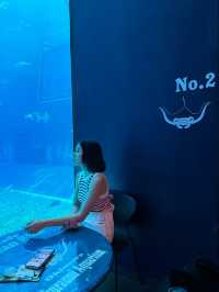  Okinawa Churaumi Aquarium 