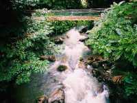 ♨️ Poring Hot Spring: Relax in Nature’s Spa Near KK!