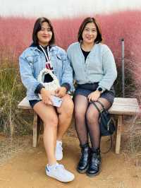 Picturesque Agricultural Theme Park