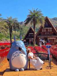 Hokkaido Flower park Khaoyai