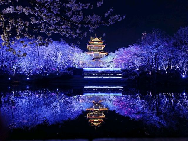 Best night Sakura - Guess where (Not japan) Best night Sakura - Guess where (Not japan)