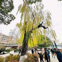 Shaoxing East Lake – Zhejiang