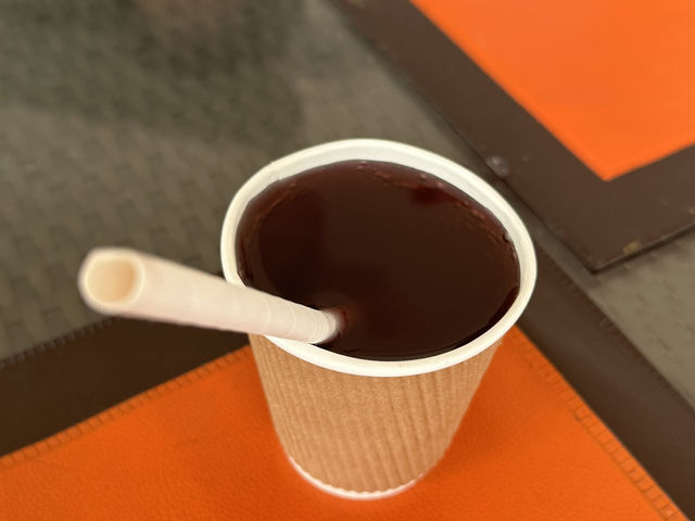 【インド】シティ・パレスの博物館