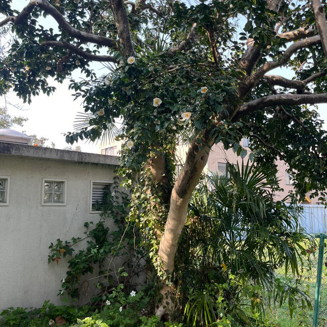 廕生植物園•奇花異卉的舞台