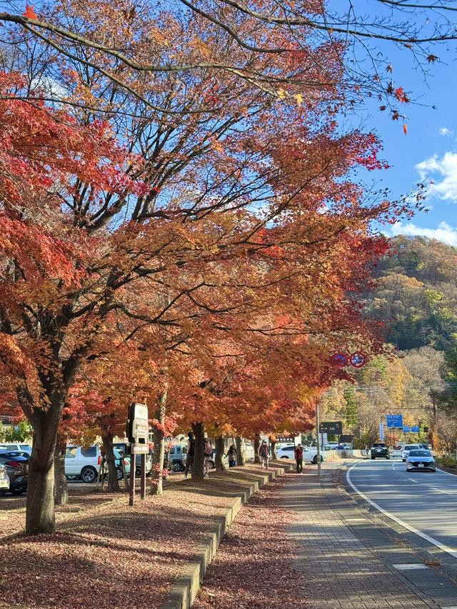 Fuji in autumn คือที่สุดดดด 🍁🗻