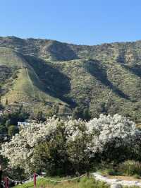 🥾 Hollywood Sign 하이킹 코스, LA의 상징을 가까이!
