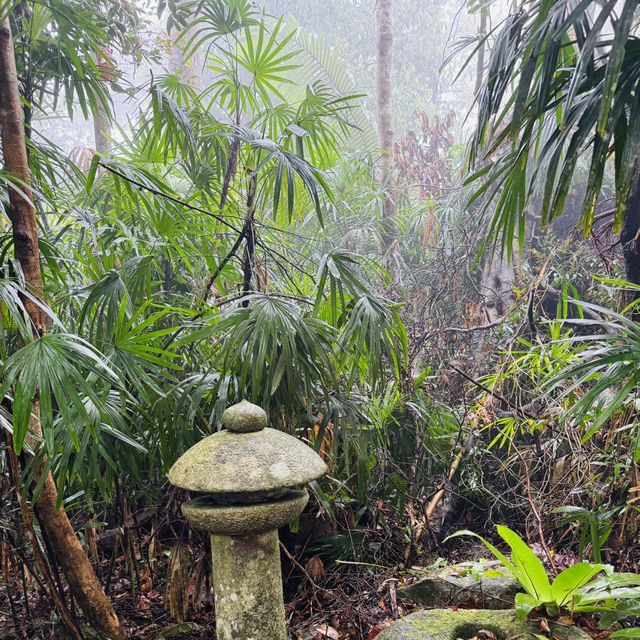 Nature’s Hidden Jewels