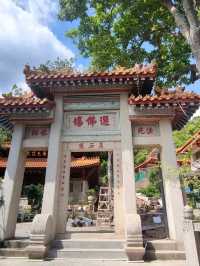 植物種類繁多的廈門園林植物園