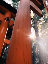 Fushimi lanri, kyoto