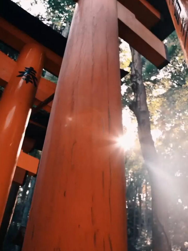 Fushimi lanri, kyoto