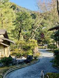 Tranquility in Kyoto – A Temple Garden Stroll
