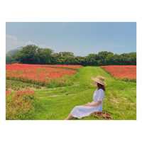 Awaji-shima