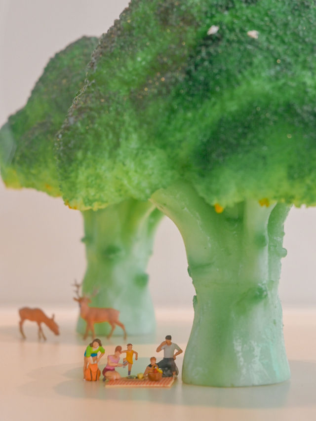 【兵庫】ブロッコリーの木の下で🥦💚