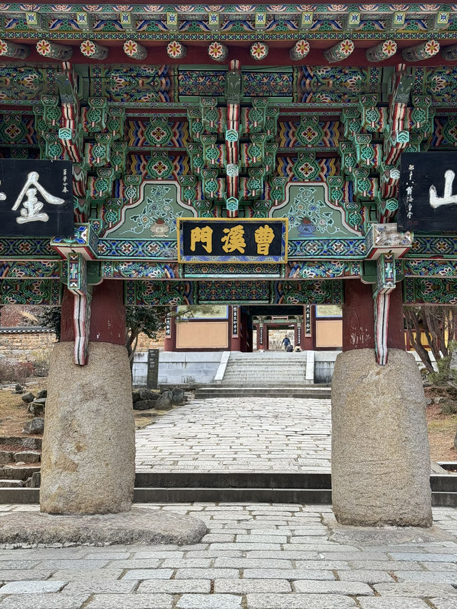 釜山梵魚寺｜繁華都市中的幽靜💫